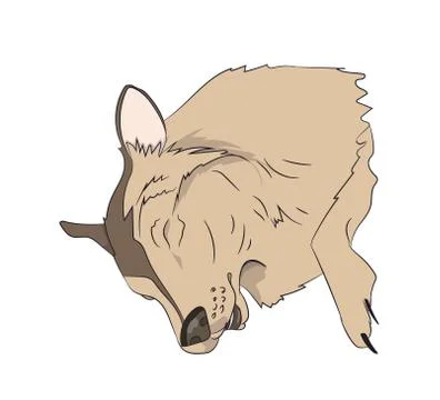 Portrait of a dog that sleeps, vector Stock Illustration