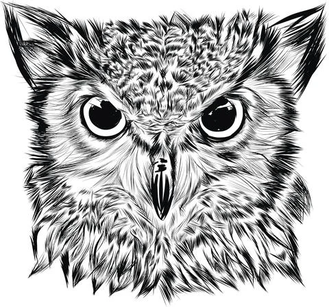Portrait of an eagle owl Illustrazione stock