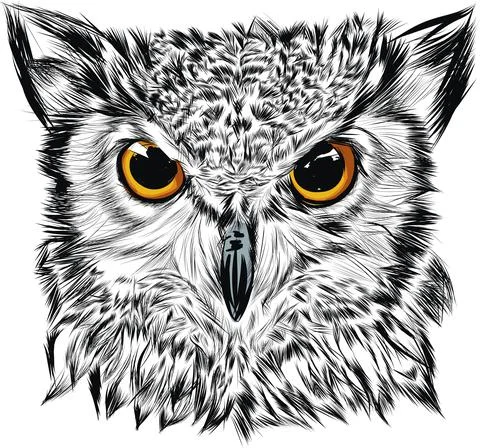 Portrait of an eagle owl Stock Illustration