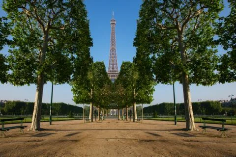Portrait of Eiffel Tower seen through a row of trees Stock Photos