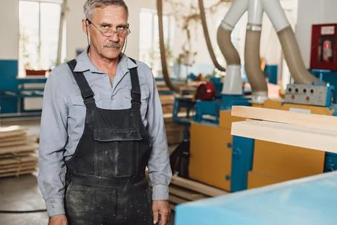 Portrait of an elderly carpenter or carpenter working with wooden boards in a Stock Photos