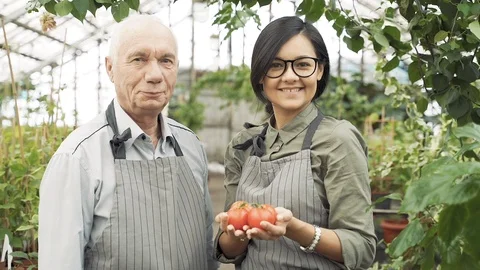 Portrait of an elderly man and a young woman gardeners holding ripe red tomatoes Stock Footage 124035972