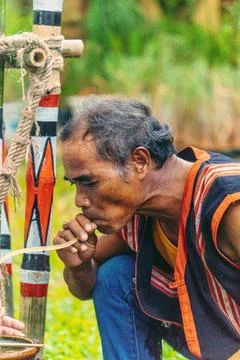 Portrait of elderly man drinking Ruou Can (vietnamese fermented rice wine in  Stock Photos