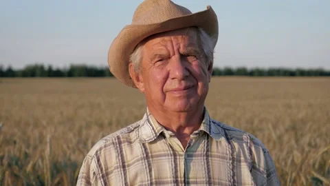 Portrait Elderly Man Farmer With Hat On Background Of Agricultural Field Wheat Stock Footage 134644335