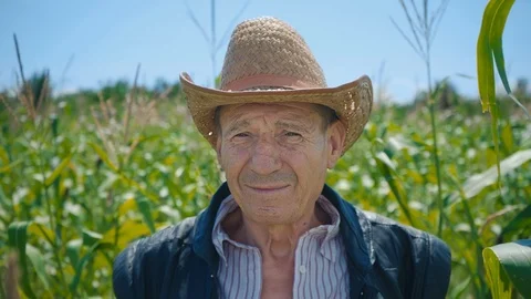 Portrait of an elderly man in a straw hat against the background of a cornfield Stock Footage 93850858