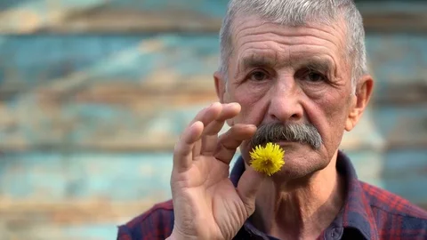 Portrait of an elderly man with yellow dandelion Stock Footage 75944441