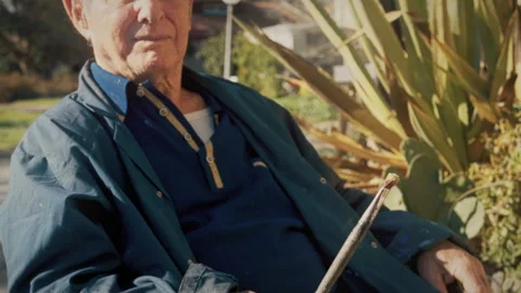 Portrait of an elderly painter in his garden Stock Footage 275296971