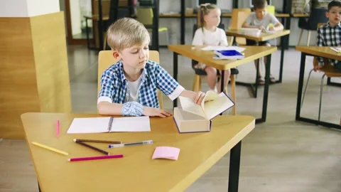 Portrait of an elementary school boy in a blue plaid shirt opening a textbook Stock Footage 279519692