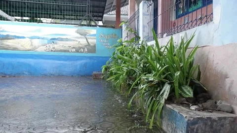 Portrait of elementary school conditions Stock Footage 236190469