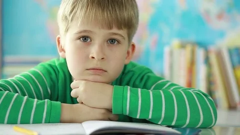  Portrait of an elementary school student in the classroom. Stock Footage 74426160