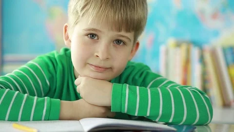 Portrait of an elementary school student in the classroom. Stock Footage 74426219