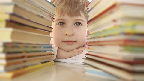   Portrait of an elementary school student with textbooks  Stock Footage 73327305