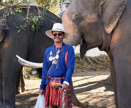 Portrait of an elephant driver Stock Photos