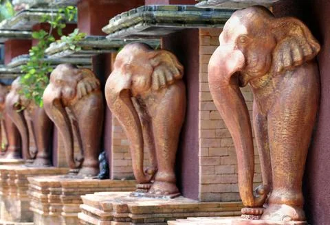 Portrait of elephants Stock Photos