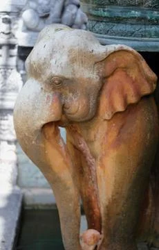 Portrait of elephants Stock Photos