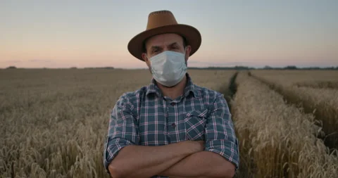 Portrait Farmer Bearded Man With Hat Standing in Wheat Field. Portrait Caucas Video stock 170306615