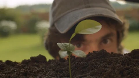 Portrait of a farmer looking at a seedling Stock Footage 137812955