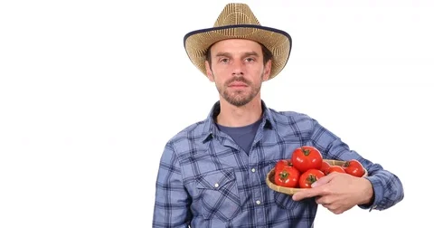 Portrait of Farmer Man Looking Camera Holding Organic Red Tomato Pile Vegetables Stock Footage 73625433