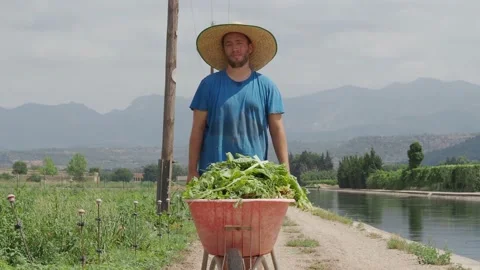 Portrait of a farmer man with looking at camera on the farm. Organic farming Stock Footage 157489869