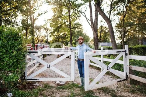 A portrait of farmer walking outdoors on family farm, opening gate. Stock Photos
