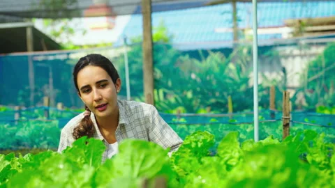 Portrait of female farmer looking to camera and smile at her farm. Stock-Footage 247252533