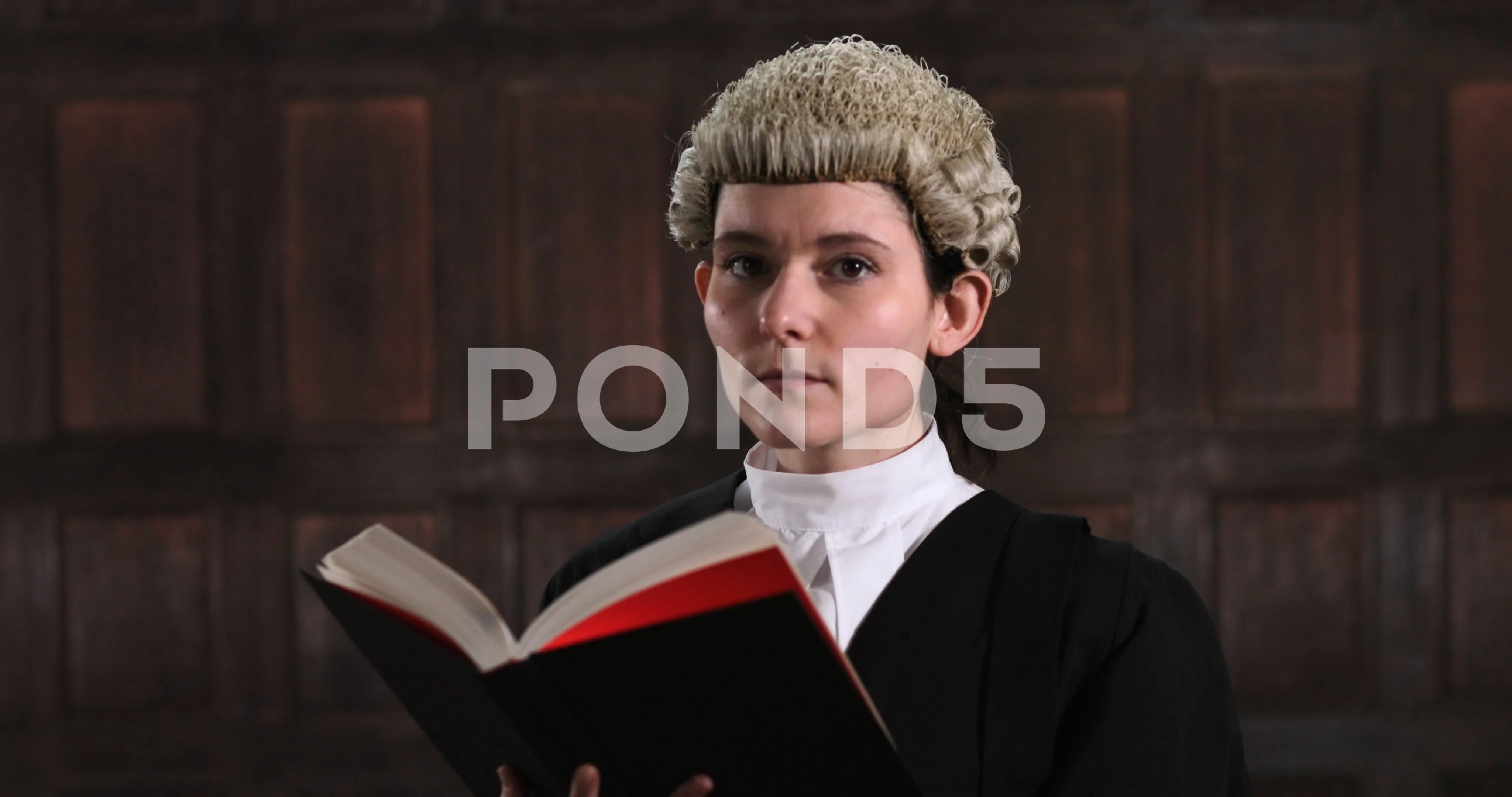 Female Lawyer In Court Female Lawyer Court Composition Stock