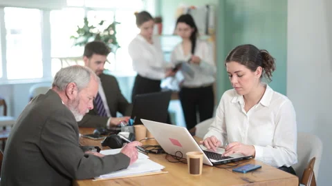 Portrait of female office worker working on laptop with her colleagues in the Stock Footage 342133858