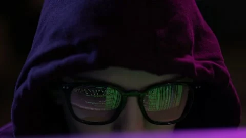 Portrait of female software developer wearing eyeglasses, working on computer Stock Footage 164532325