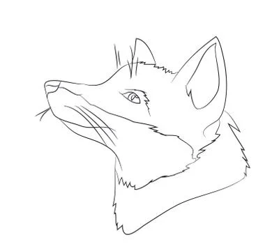 Portrait of a fox, lines, vector Stock Illustration