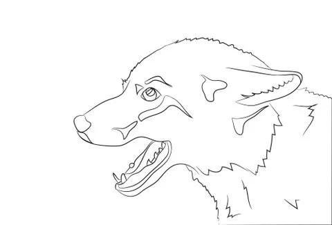 Portrait of a fox, lines, vector Stock Illustration