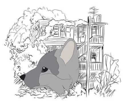 Portrait of fox, vector, on green background Stock Illustration