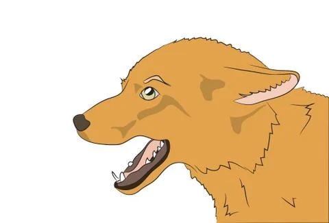 Portrait of a fox, vector, Stock-Illustration