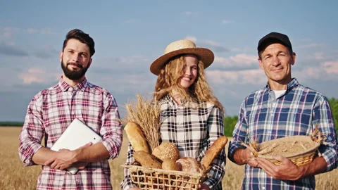 Portrait in front of the camera in the middle of young wheat field family Video stock 136365368