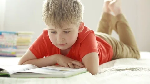 Portrait of a funny boy with a book. An elementary school student.  Stock Footage 77751829