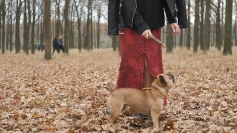 Portrait of a funny french Stock Video Pond5