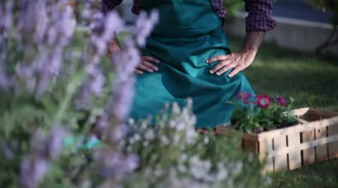 Portrait of a gardener Stock Footage 8654716