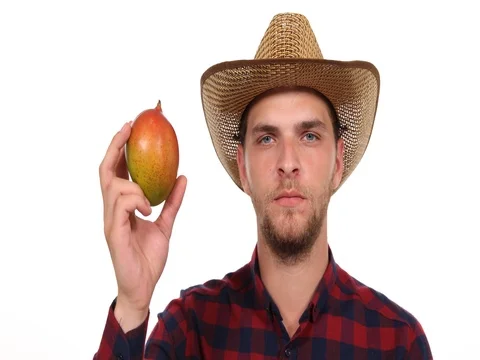 Portrait of Gardener Man Looking Camera Holding Fresh Mango Sweet Exotic Fruits Stock Footage 73564238