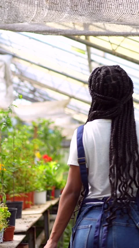 Portrait gardener or florist working in a nursery inside the flower greenhouse Stock Footage 260334530