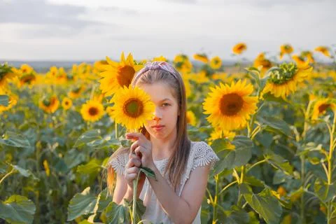 Portrait of a girl hiding behind a sunflower Stock Photos