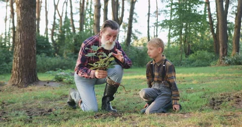 Portrait of good-looking serious bearded elderly granddad which together with Stock Footage 139697787