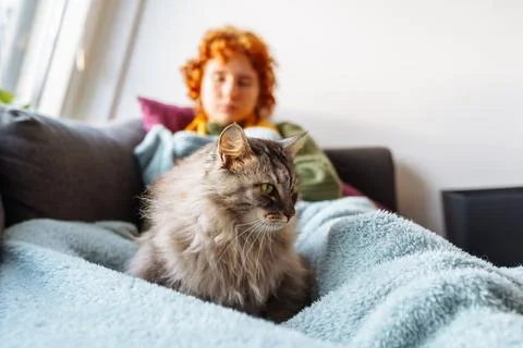 Portrait gray fluffy cat lying with young woman on sofa Fotos de archivo
