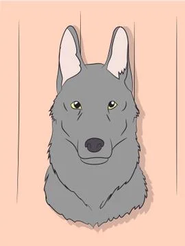 Portrait of a gray wolf on a background Stock Illustration