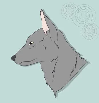 Portrait of a gray wolf on a background Stock Illustration