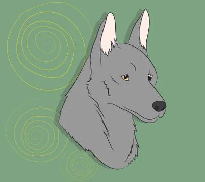 Portrait of a gray wolf on a background Stock Illustration