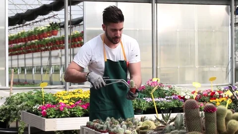 Portrait of a greenhouse worker Stock Footage 74299609