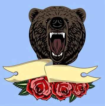 Portrait of a growling bear Stock Illustration
