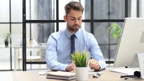 Portrait of handsome businessman working using computer in office and pretty Video stock 196859134