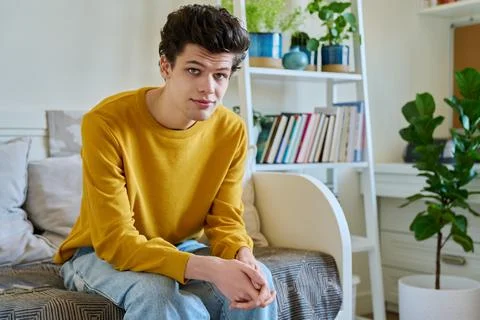 Portrait of handsome guy looking at camera, sitting on couch at home Stock Photos