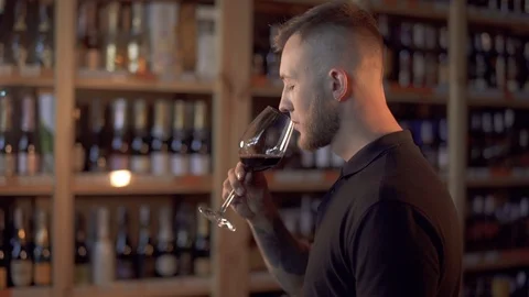 Portrait of handsome guy in profile admiring wine in the glass. Video stock 99375489
