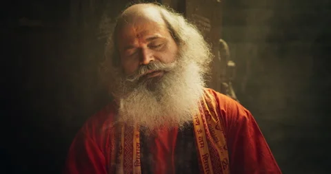 Portrait of a Hindu Monk in a Temple Stock Footage 260728503